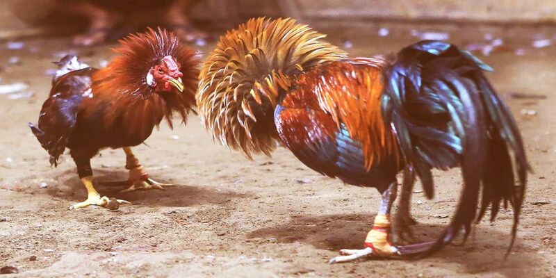 Một vài sai lầm cần tránh