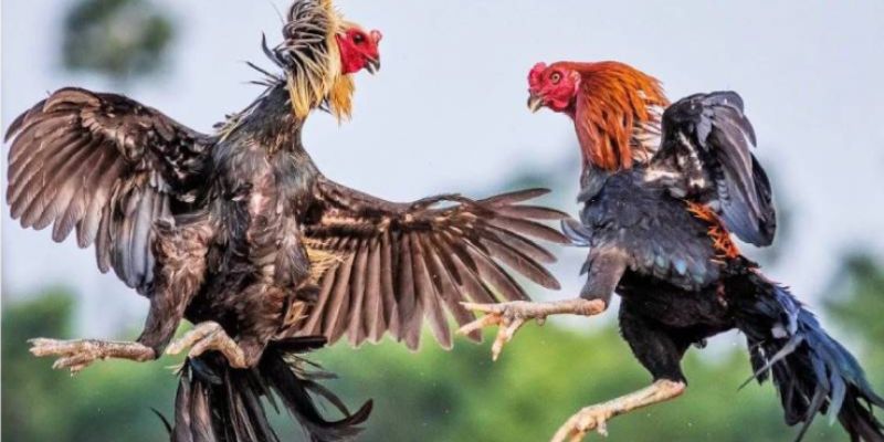 Nên sử dụng thuốc kết hợp với tập luyện để đạt hiệu quả tốt nhất
