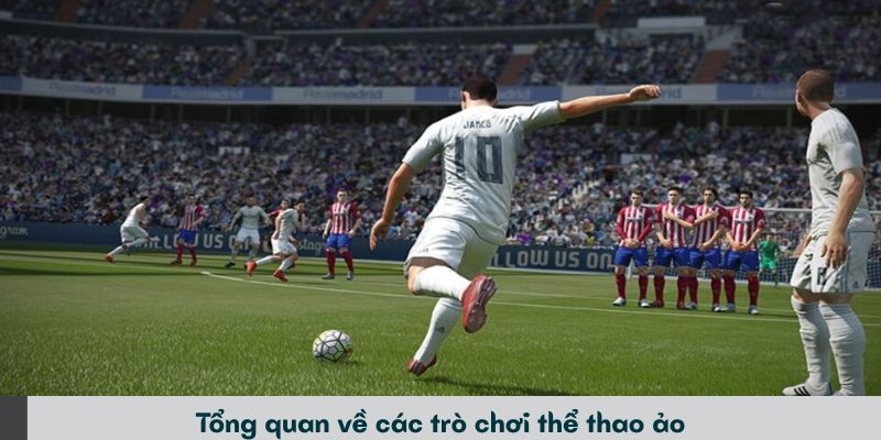 Tổng quan về các trò chơi thể thao ảo