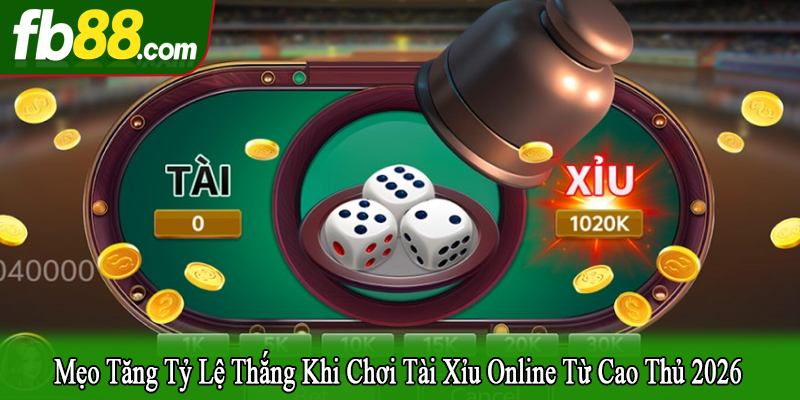 mẹo tăng tỷ lệ thắng khi chơi tài xỉu