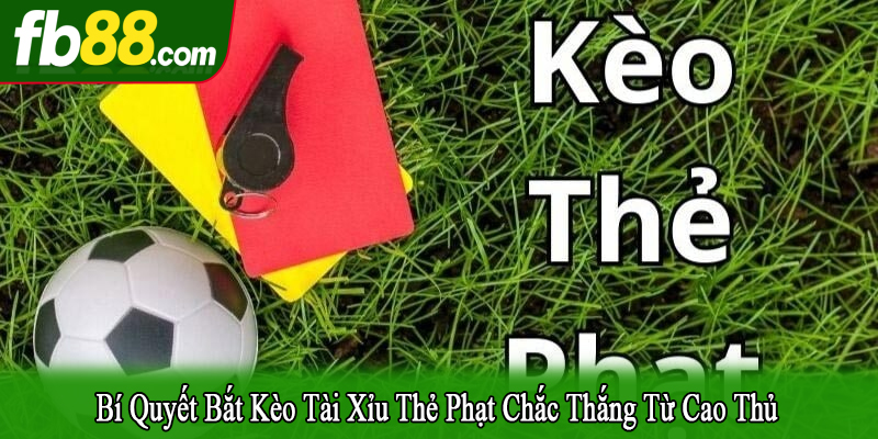 bí quyết bắt kèo tài xỉu thẻ phạt