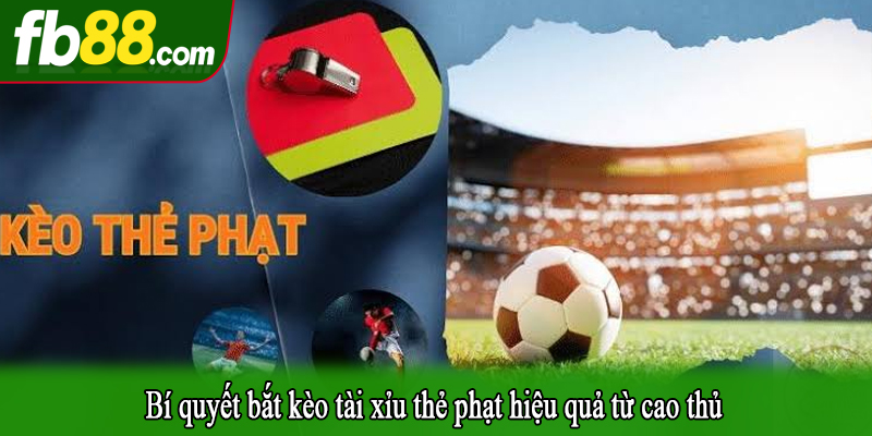 Bí quyết bắt kèo tài xỉu thẻ phạt hiệu quả từ cao thủ