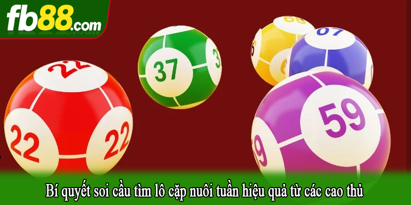 Bí quyết soi cầu tìm lô cặp nuôi tuần hiệu quả từ các cao thủ