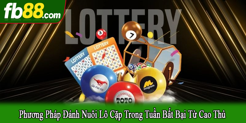 phương pháp đánh nuôi lô cặp trong tuần