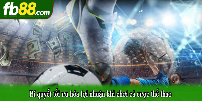 Bí quyết tối ưu hóa lợi nhuận khi chơi cá cược thể thao