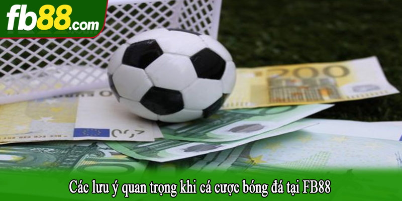 Các lưu ý quan trọng khi cá cược bóng đá tại FB88
