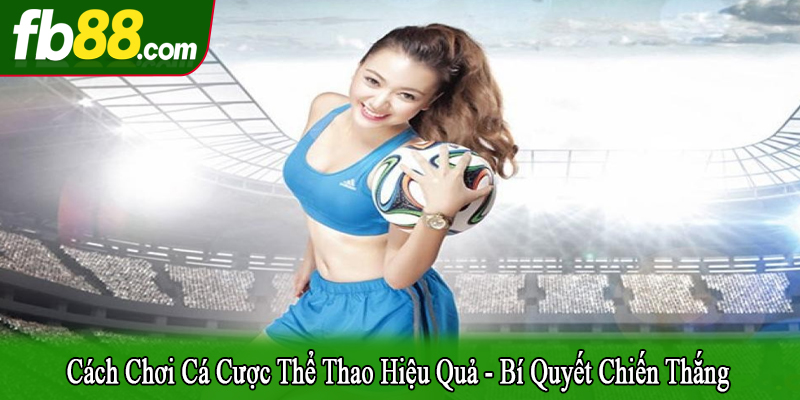 cách chơi cá cược thể thao hiệu quả