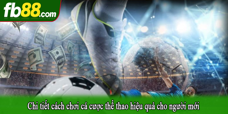 Chi tiết cách chơi cá cược thể thao hiệu quả cho người mới