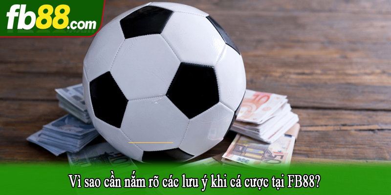 Vì sao cần nắm rõ các lưu ý khi cá cược tại FB88?