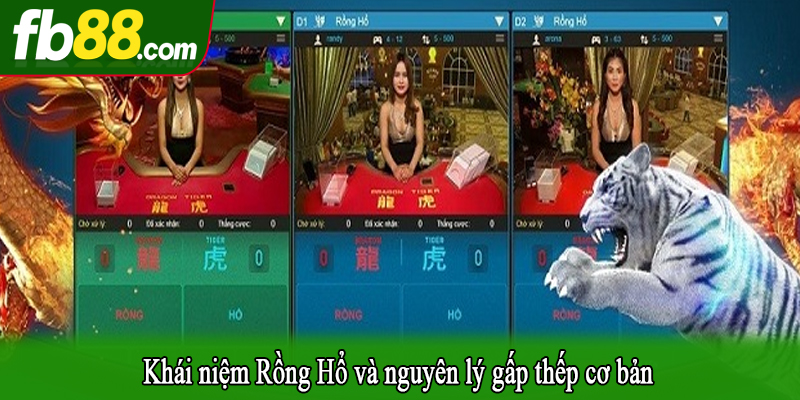 Khái niệm Rồng Hổ và nguyên lý gấp thếp cơ bản