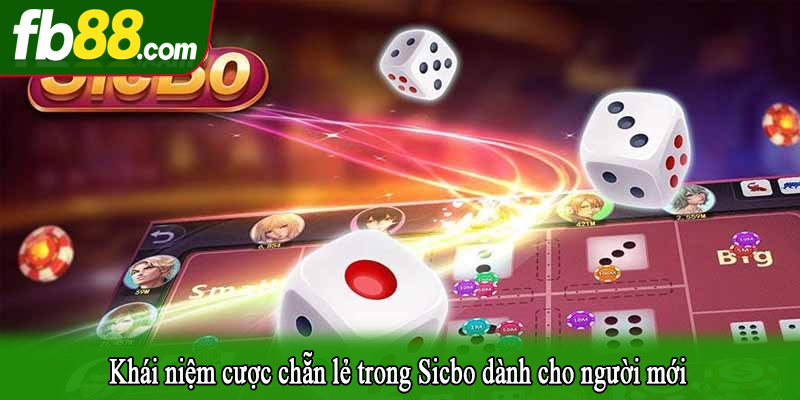 Khái niệm cược chẵn lẻ trong Sicbo dành cho người mới