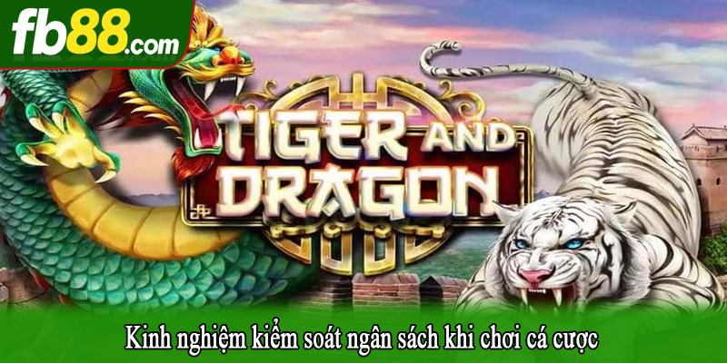 Kinh nghiệm kiểm soát ngân sách khi chơi cá cược