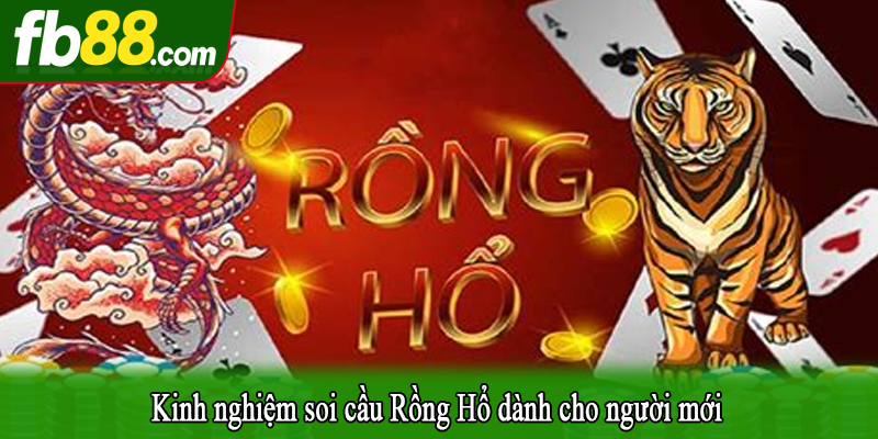 Kinh nghiệm soi cầu Rồng Hổ dành cho người mới