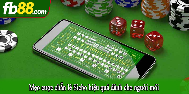Mẹo cược chẵn lẻ Sicbo hiệu quả dành cho người mới